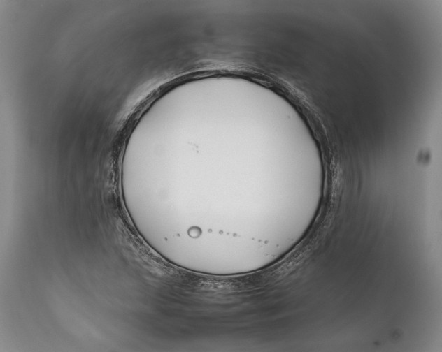X0000112371215200909101313