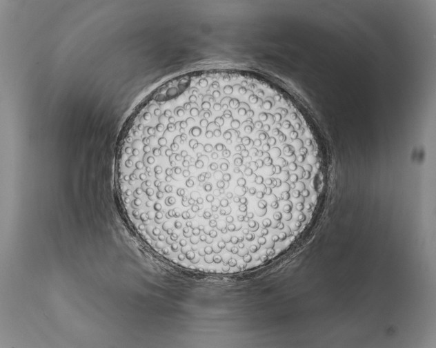 X0000112371220200909101313