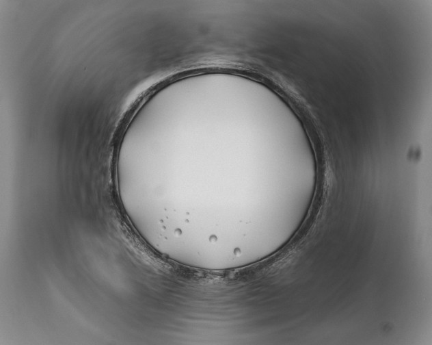 X0000112371222200909101313