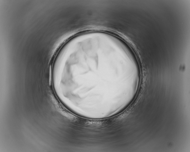 X0000112371223200909101313