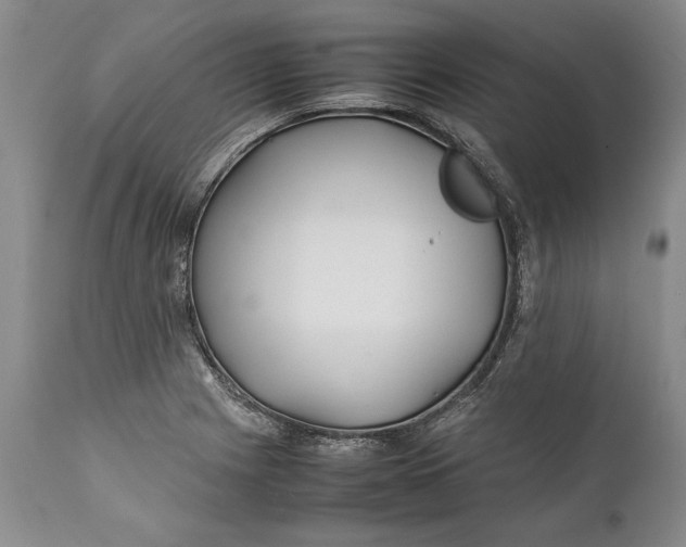 X0000112371225200909101313