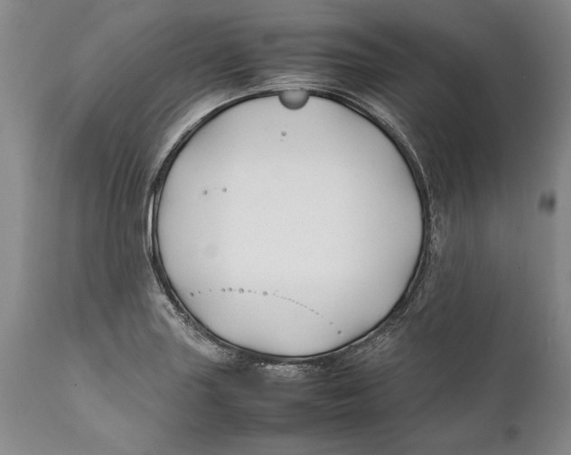 X0000112371227200909101313