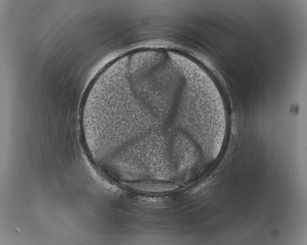 X0000112371229200909101314