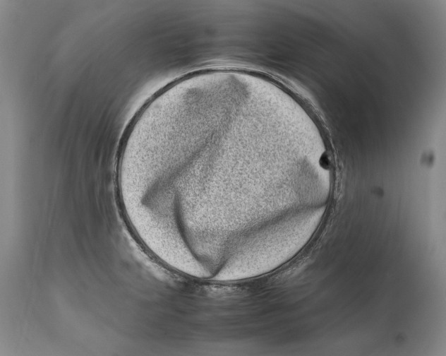 X0000112371231200909101314