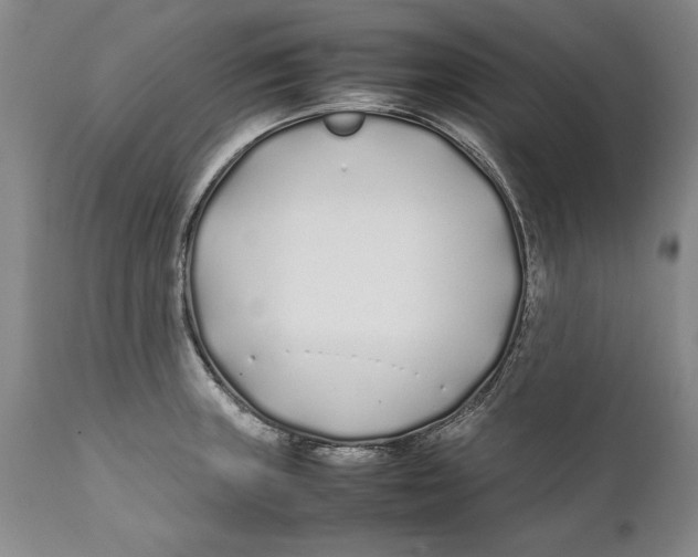 X0000112371235200909101314