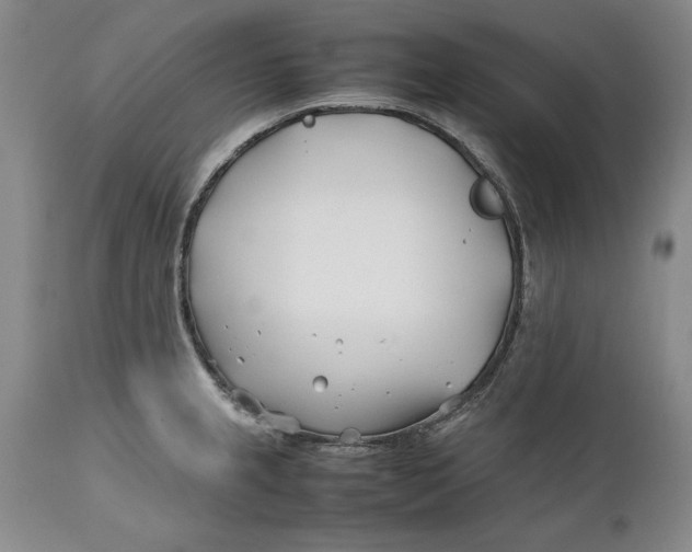 X0000112371237200909101314