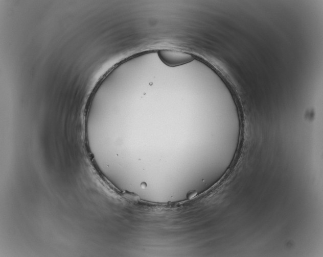 X0000112371238200909101314
