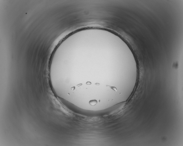 X0000112371240200909101314