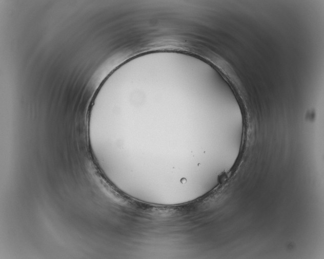 X0000112371242200909101314