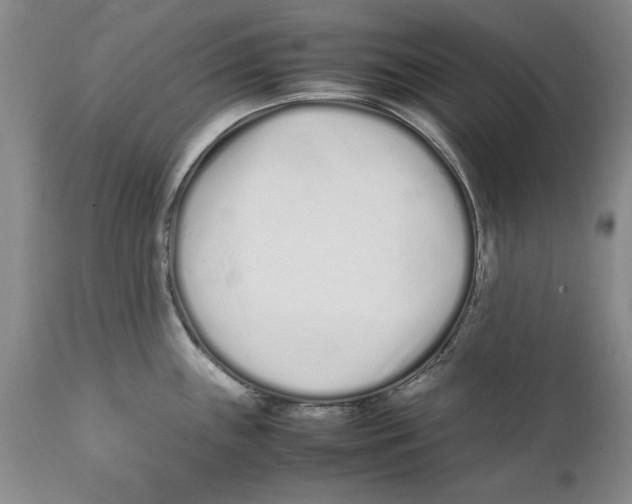 X0000112371243200909101314