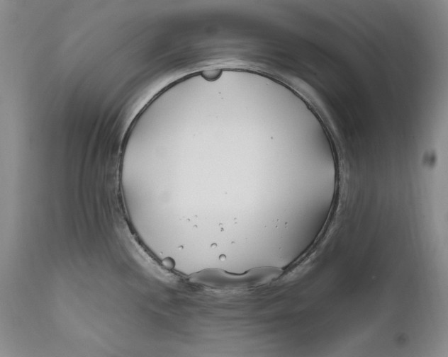 X0000112371244200909101314