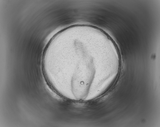 X0000112371245200909101314