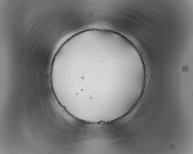 X0000112371248200909101314