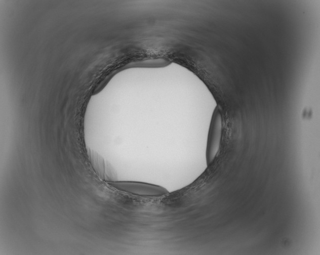 X0000112371249200909101313