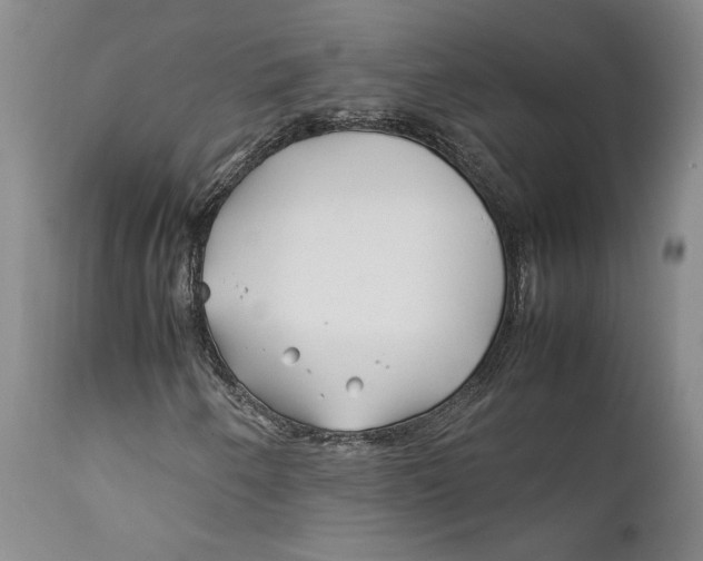 X0000112371250200909101313