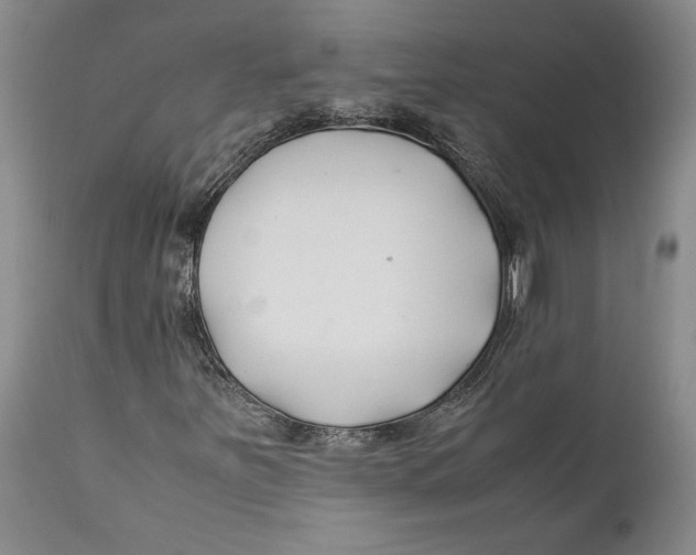 X0000112371251200909101313