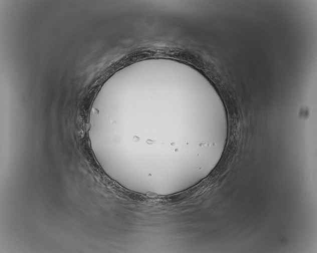 X0000112371253200909101313
