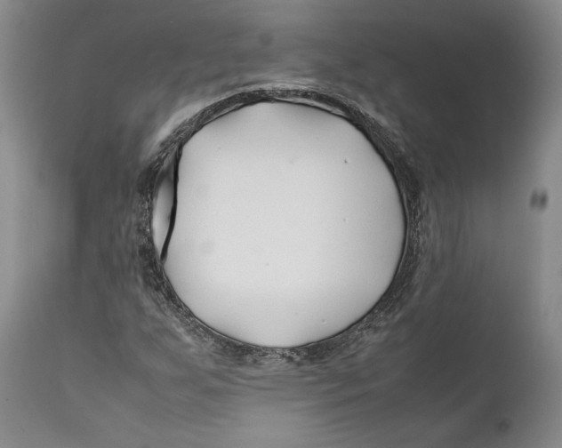 X0000112371255200909101313