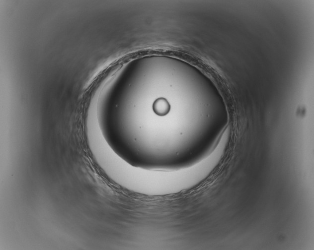 X0000112371256200909101313