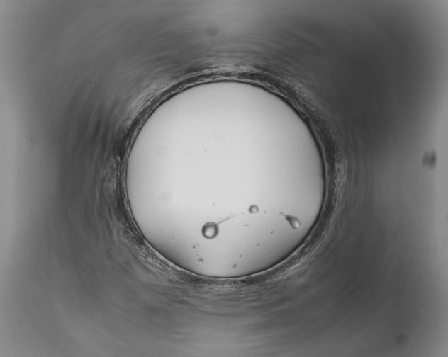 X0000112371257200909101313