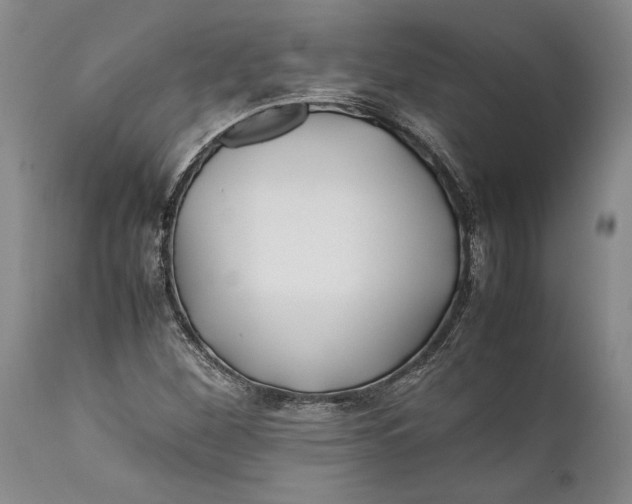 X0000112371260200909101313