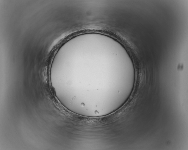 X0000112371262200909101313