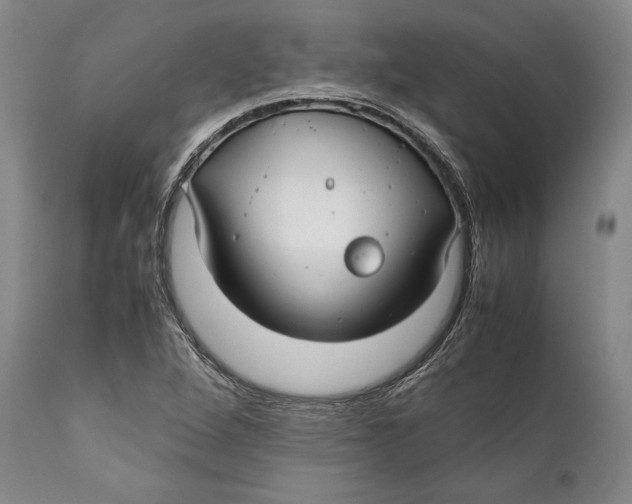 X0000112371264200909101313