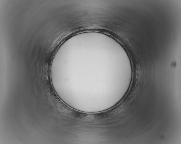 X0000112371265200909101313