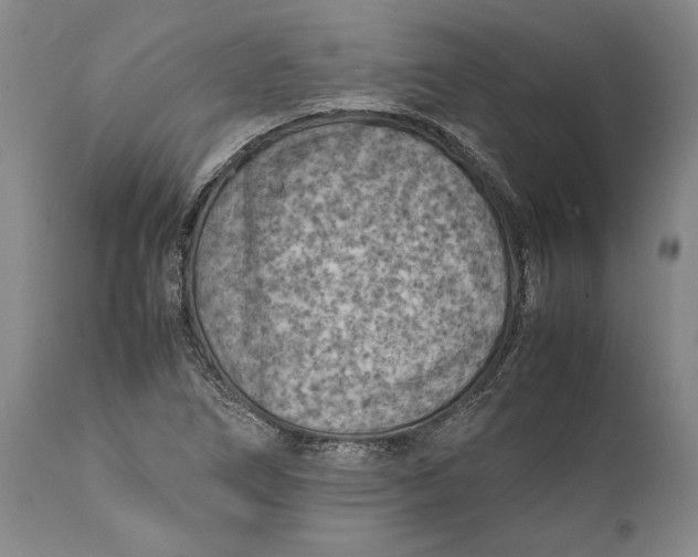X0000112371266200909101313