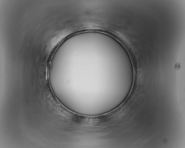 X0000112371269200909101313