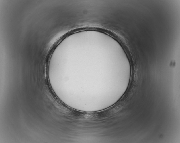 X0000112371271200909101313