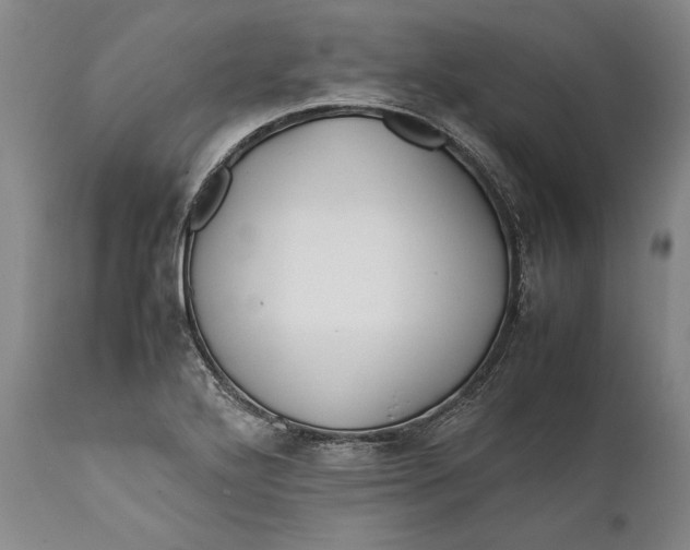 X0000112371272200909101313