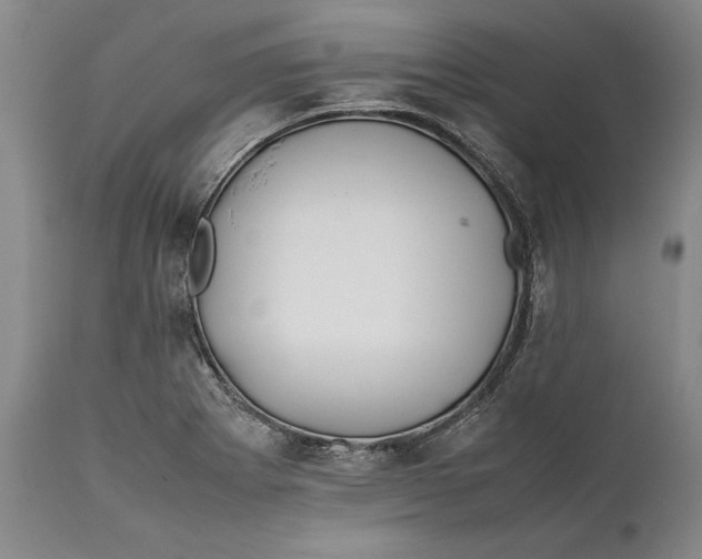 X0000112371273200909101313
