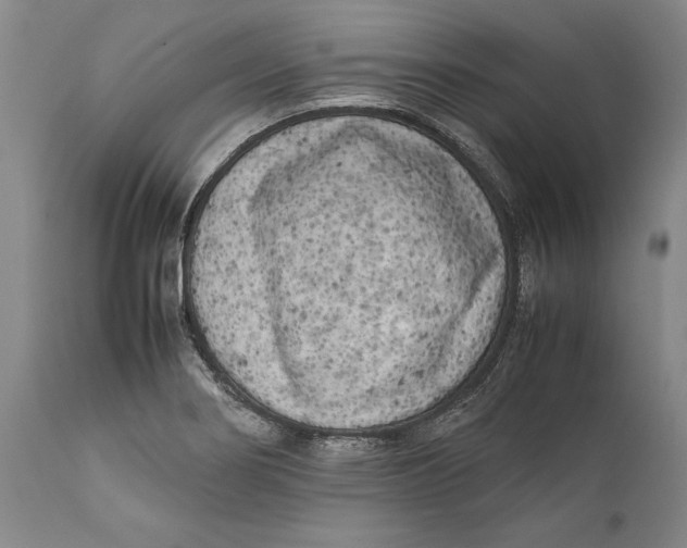 X0000112371274200909101313