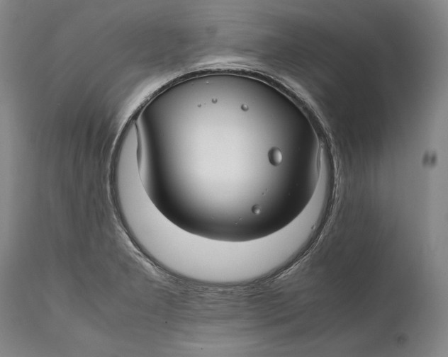 X0000112371277200909101313