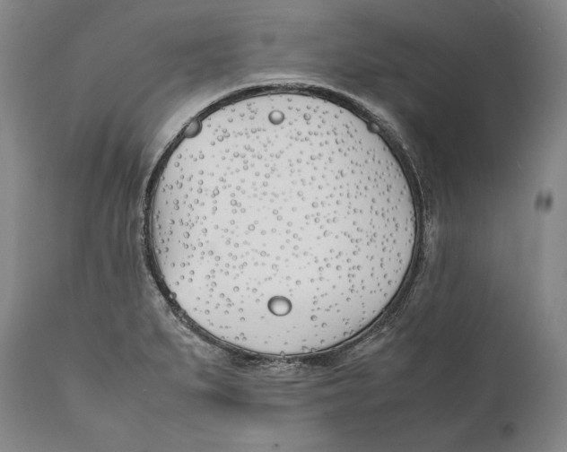 X0000112371279200909101313