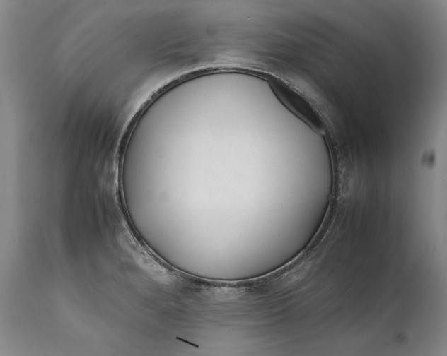 X0000112371280200909101313
