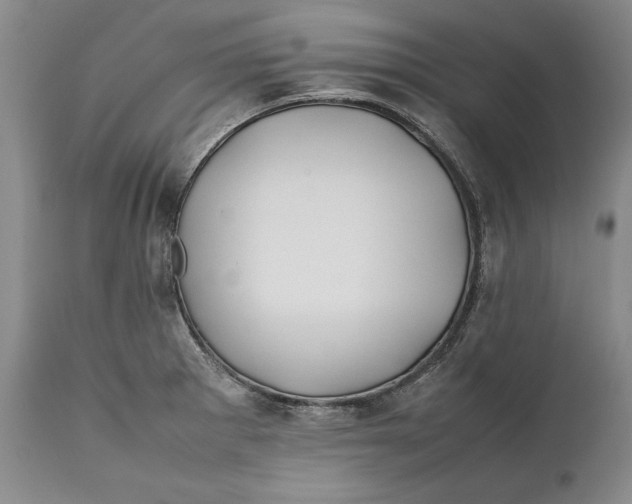 X0000112371281200909101313