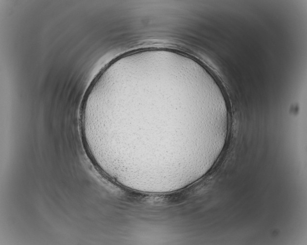 X0000112371283200909101313
