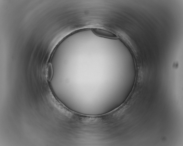 X0000112371284200909101313