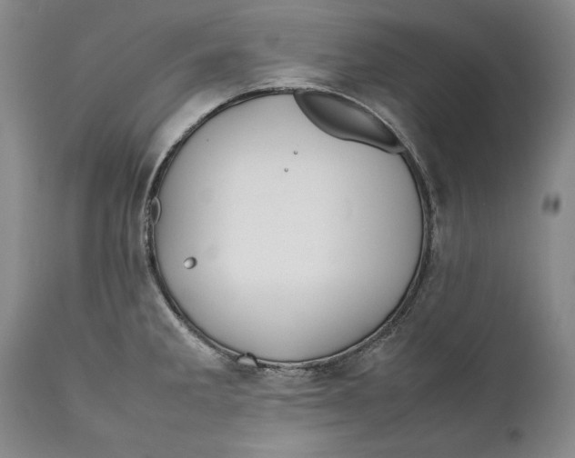 X0000112371285200909101313