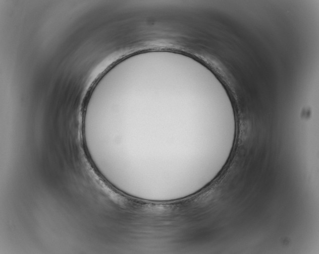 X0000112371286200909101313