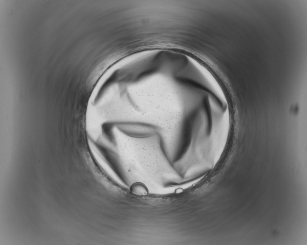 X0000112371289200909101313