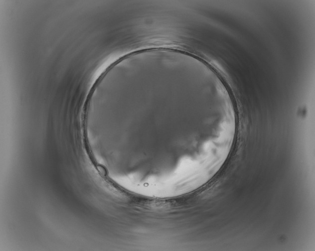 X0000112371291200909101313