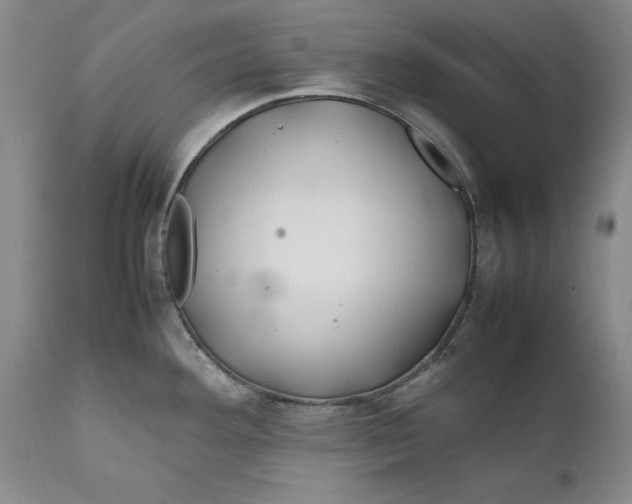 X0000112371292200909101313