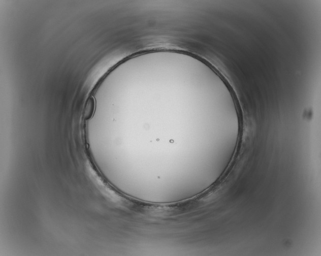 X0000112371293200909101313