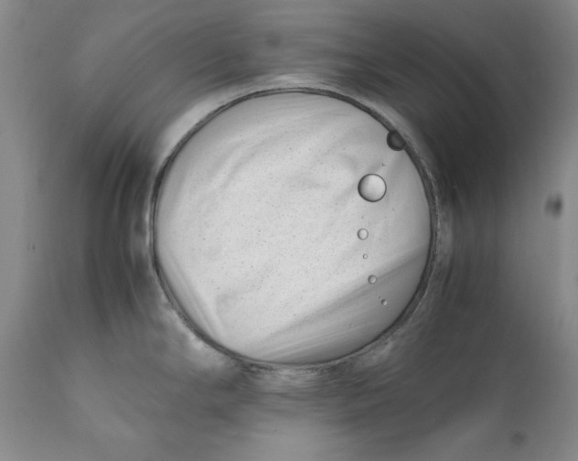 X0000112371294200909101312