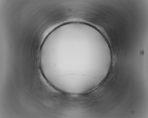 X0000112371295200909101312