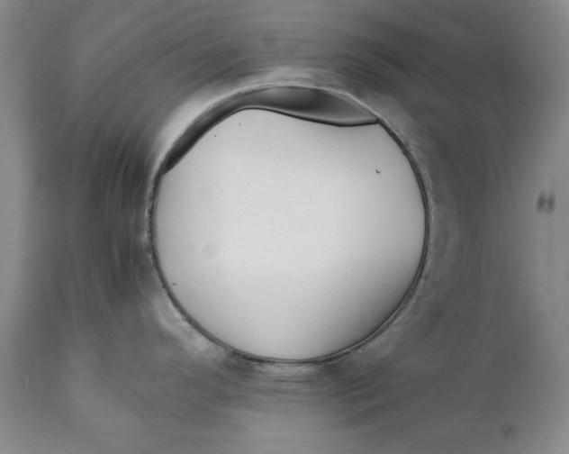 X0000112371296200909101312
