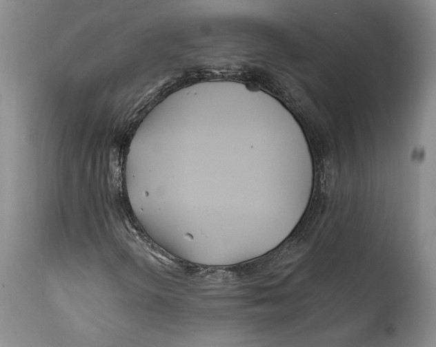 X0000112371298200909101312
